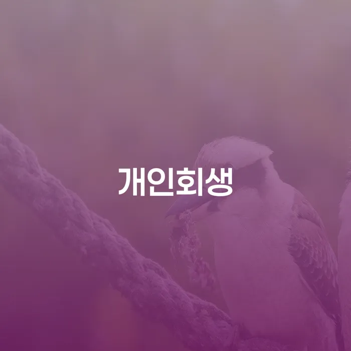 개인파산제도 빚청산 조건확인 하고