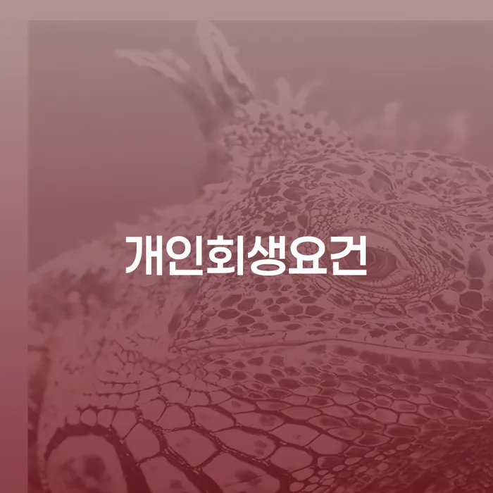 개인회생이의신청 카드빚 연체 상세히알기