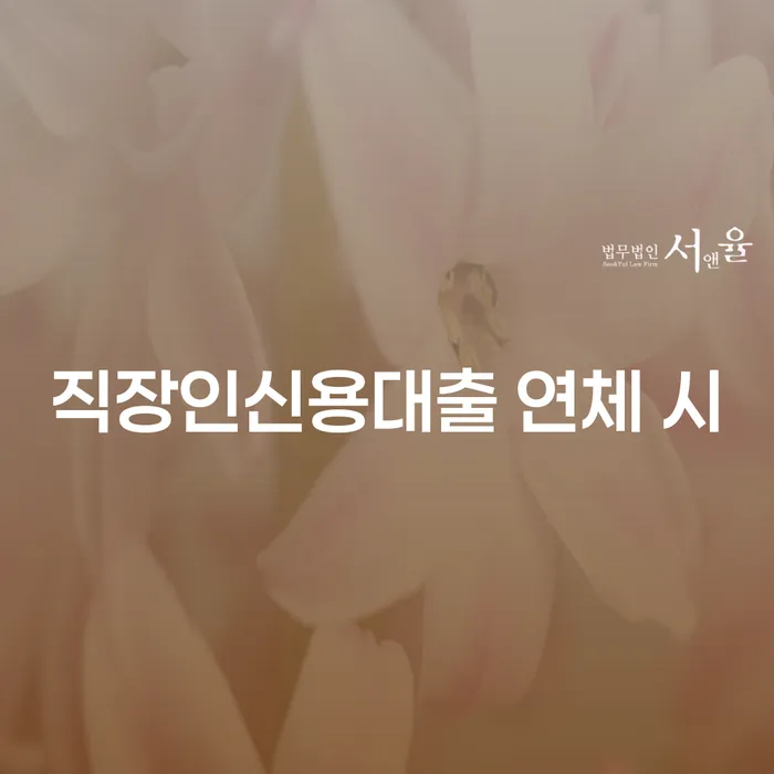 개인회생폐지후재신청 개인회생으로 해결 신속하게