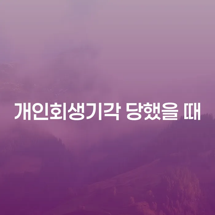 개인회생금지명령기각 빚청산 무료상담