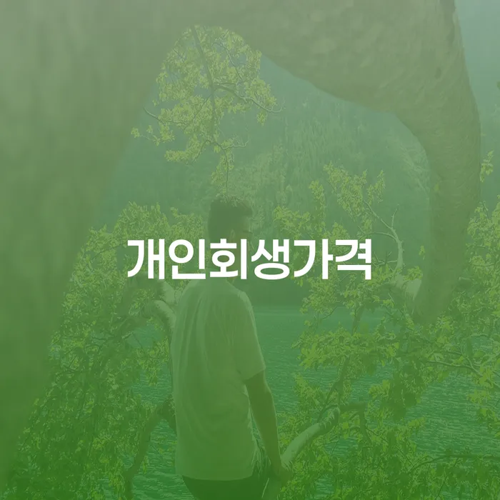 거제시 카드값 한달 연체 개인회생으로 방법 성공하려면