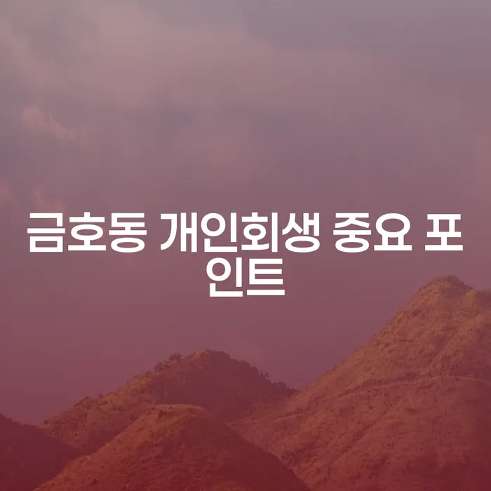 금호동 개인회생 중요 포인트