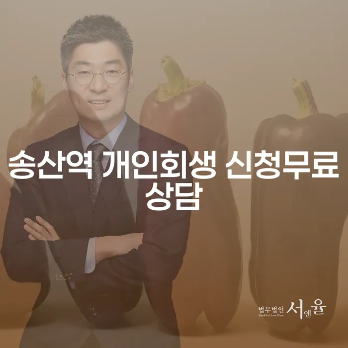 송산역 개인회생 신청무료상담