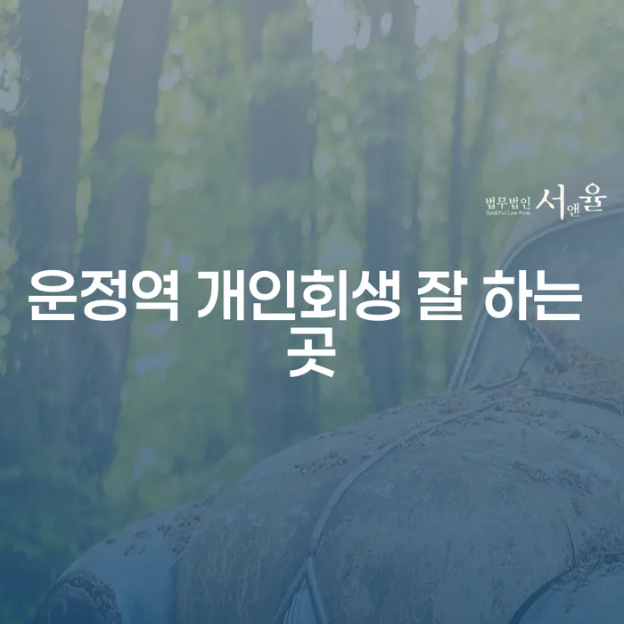 운정역 개인회생 잘 하는 곳