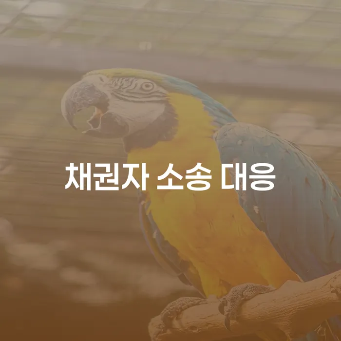 채권자 소송 대응: 억울한 채무자의 최선의 선택은?
