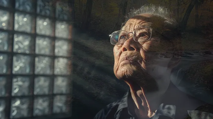 채권자 소송 대응