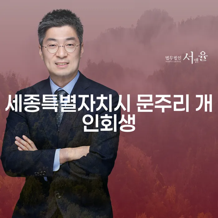 세종특별자치시 문주리, 개인회생 절차는 어떻게 진행할까요?